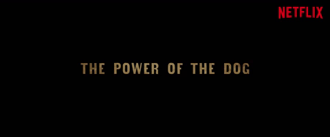 The Power Of The Dog