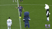 ligue 1 soccer GIF by Toulouse Football Club
