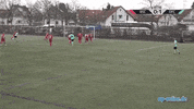 Kickers Offenbach Goal GIF by 3ECKE11ER