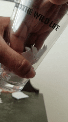 TheApocalypse giphyupload GIF