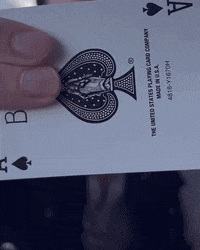 keelanleyser  GIF