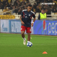 champions league wow GIF by FC Bayern Munich