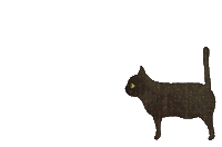 Cat Potbelly Sticker