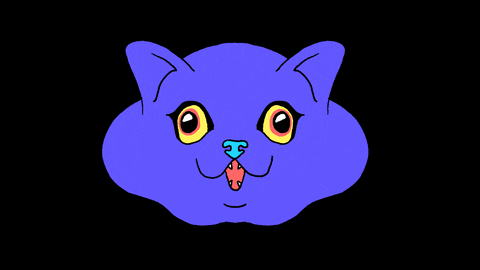 Happy Cat GIF