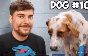 Mr Beast Dog GIF