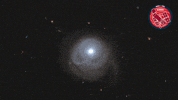Eye Looking GIF by ESA/Hubble Space Telescope
