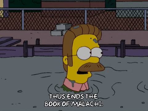 homer simpson GIF