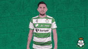 clubsantos  GIF