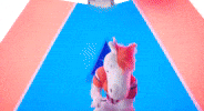 Get Loud Football GIF by Broncos