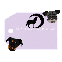 thehowlingzodiac schnauzer bobble head gift tag beauceron Sticker