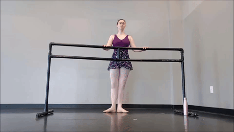 dance ballet GIF