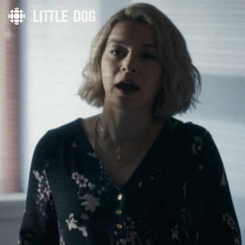 i care little dog GIF by CBC