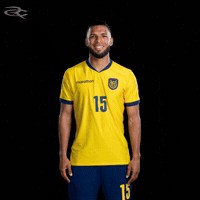 Fifa World Cup Ecuador GIF by Respective