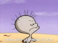 nickrewind nicksplat angry beavers GIF