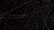 Phyllotaxis ˌFɪləʊˈTaksɪs GIF by Quasi Crystals