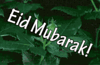 Eid Al Fitr GIF
