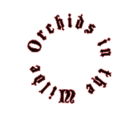 Orchids Sticker by OrchidsintheWilde