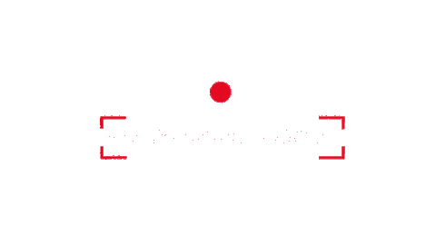 Live Tv Italiateam Sticker by Italia Team