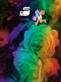 Living It Up Yes GIF