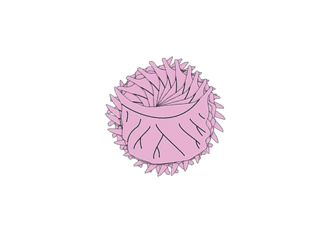 gogogyozala giphyupload food eat chef Sticker