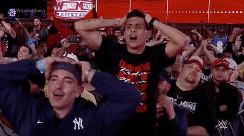 wrestlemania 31 wrestling GIF by WWE