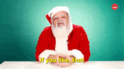 Santa Claus Christmas GIF by BuzzFeed