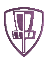 InnateDG disc golf innova frisbee golf discraft Sticker