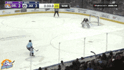 Save Garret Sparks GIF by Orlando Solar Bears