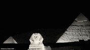 night history GIF by Earth Hour