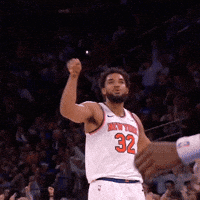 New York Knicks Shake GIF