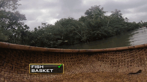 cbs giphyupload funny water basket GIF