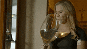 Comedy Central Wine GIF