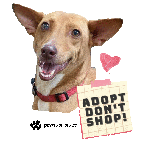 Rescue Love Sticker by Pawssion Project Foundation Inc.