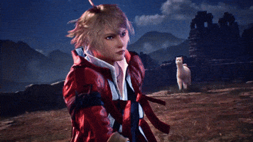 German Fighting GIF by BANDAI NAMCO