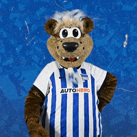 Bundesliga Berlin GIF by Hertha BSC