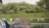 taylor swift GIF by Vevo