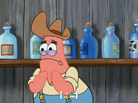 season 5 GIF by SpongeBob SquarePants