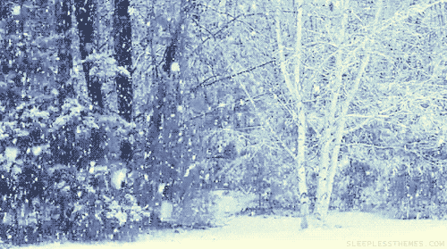 Video gif. Snow is falling in the woods and the snow coats all the branches of the trees around the field.