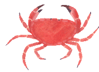 Dance Summer Sticker by Louise Gouet