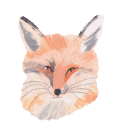 Natural History Illustration Sticker by Louise Gouet