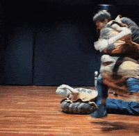 James Turtle GIF