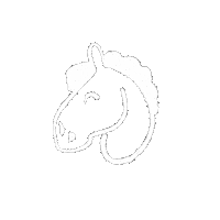 White Horse Sticker