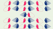 animation room GIF by Polyvinyl Records