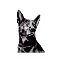 Sticker by Hera Cider