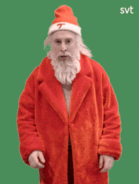 Santa Claus Ok GIF by SVT