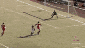 flamengo st nrn nacaocrf stfla GIF