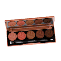 Eyeshadow Eyeshadowpalette Sticker by Dose of Colors