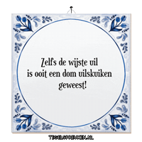 Humor Wijsheid Sticker by Tegelspreuken.nl
