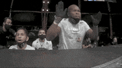Sport Reaction GIF by UFC