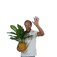 plantsome happy smile hello hi Sticker